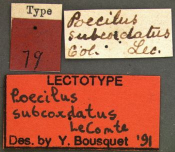 Media type: image;   Entomology 79 Aspect: labels